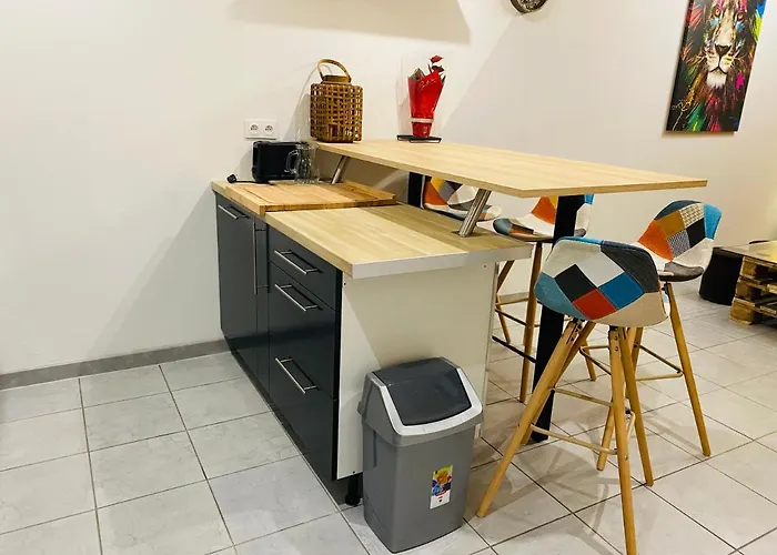 De 40m2 De Plein Pieds Dans Maison Avec Parking Et Terrasse