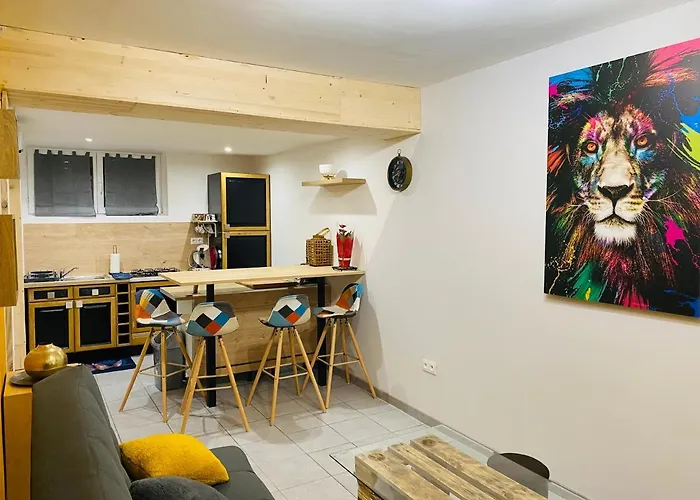 De 40m2 De Plein Pieds Dans Maison Avec Parking Et Terrasse * Jussac